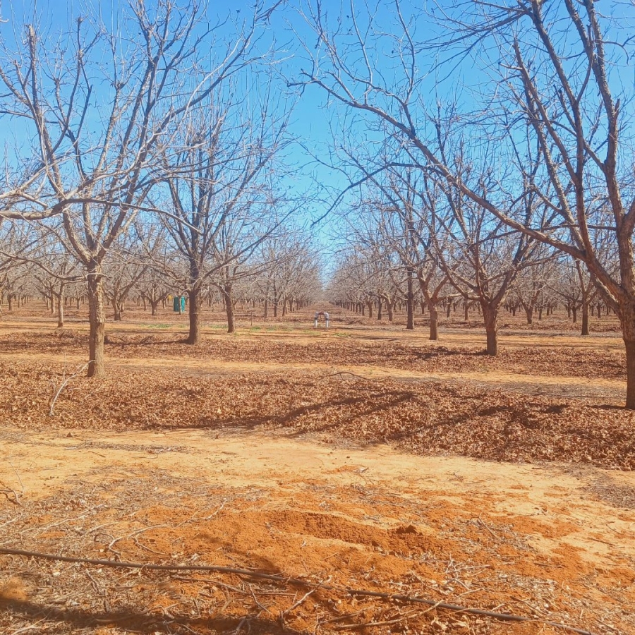  Bedroom Property for Sale in Hartswater Rural Northern Cape